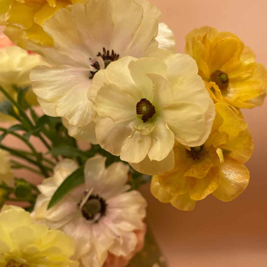 HHF MVP – The Happy Hour Flowers