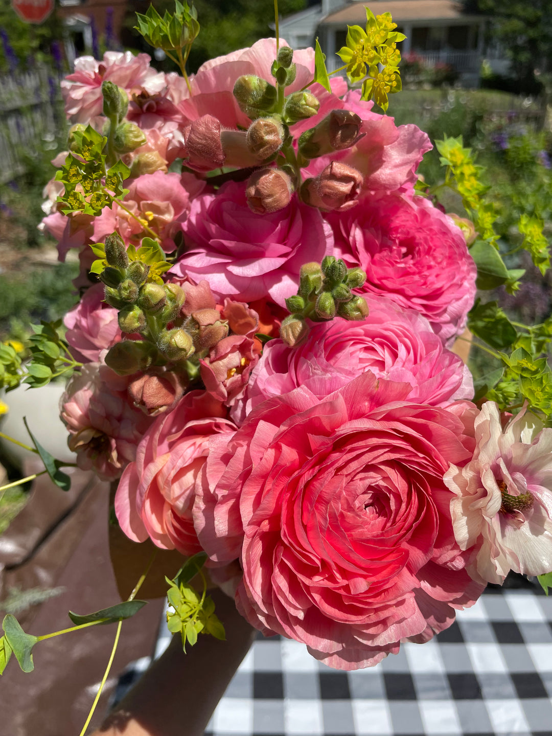 Bunch of vibrant pink flowers including amandine ranunculus showcasing beautiful shades and textures, perfect for brightening up any garden.