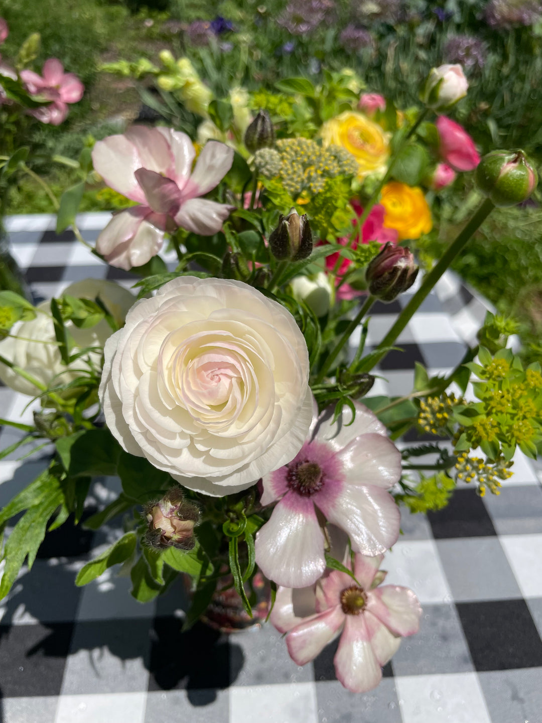 Courcheval Romance Ranunculus