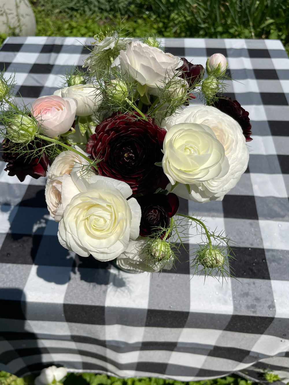 Courcheval Romance Ranunculus