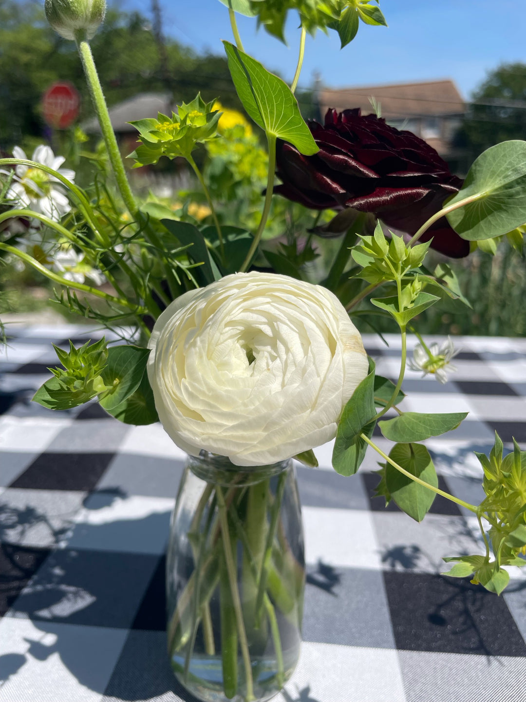 Clone White Ranunculus