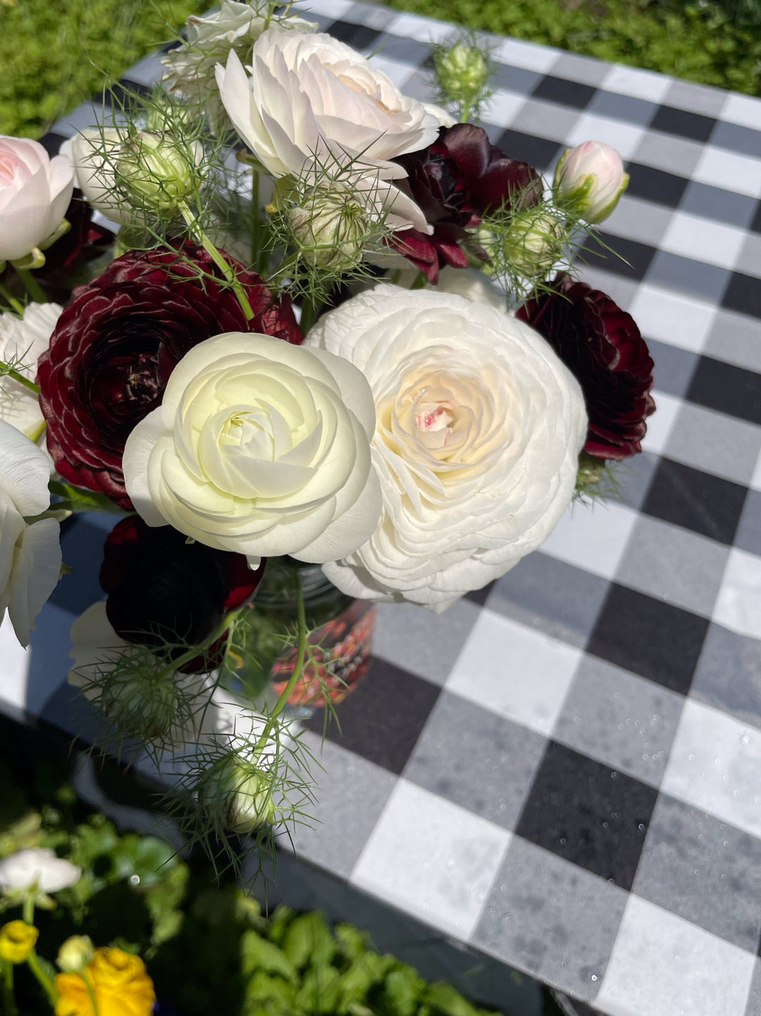 iceberg half clone ranunculus white