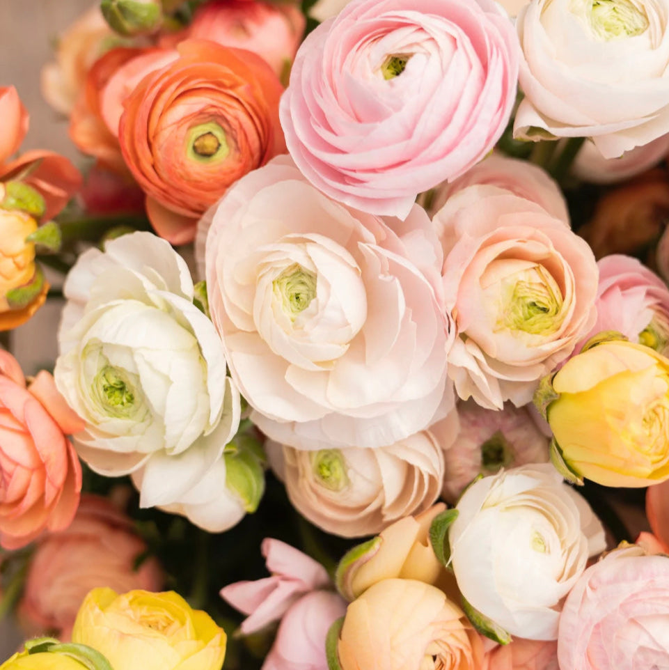 a bunch of flowers that are sitting on a table