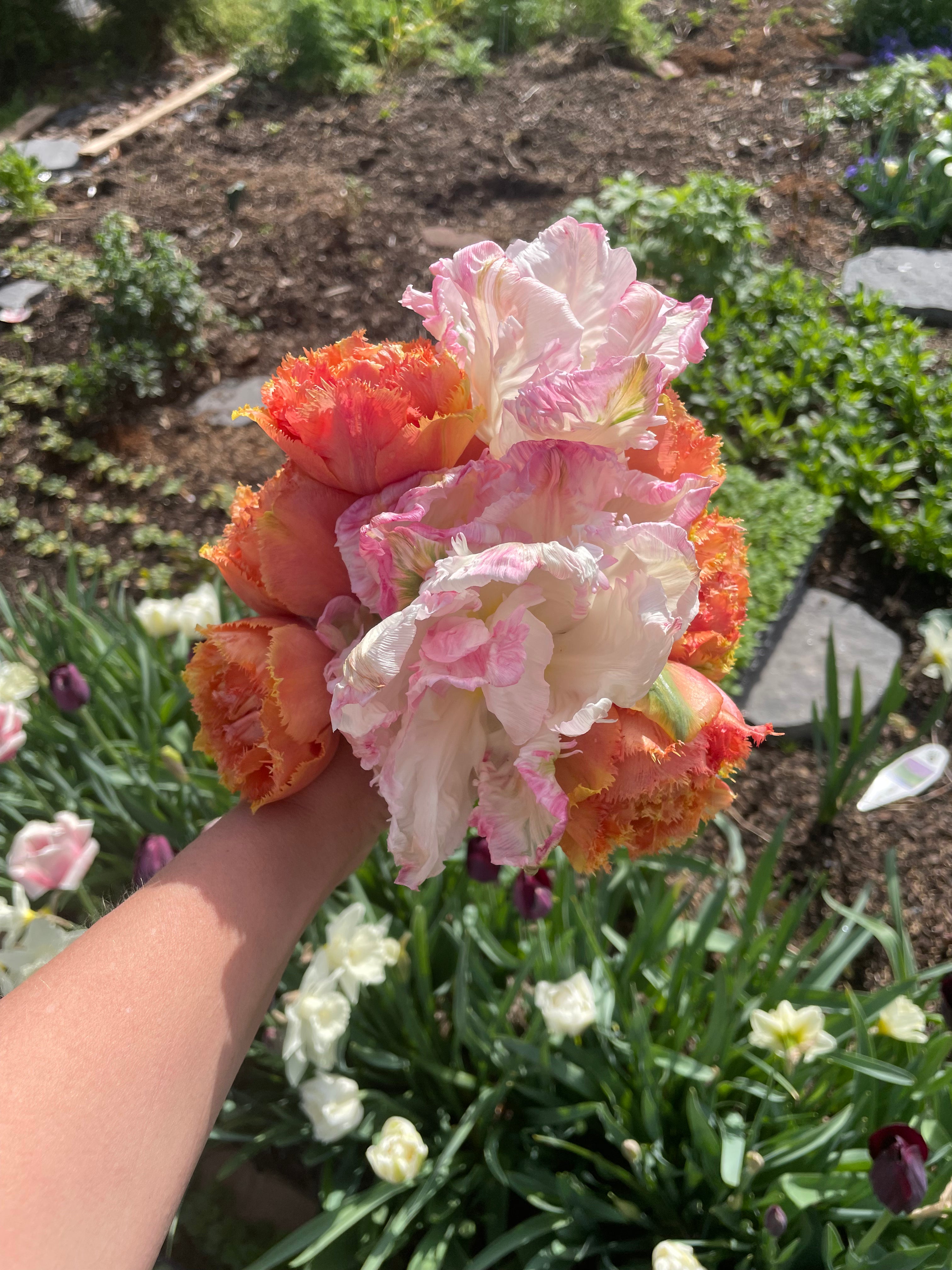 Westover Mason Jar Bouquet The Happy Hour Flowers