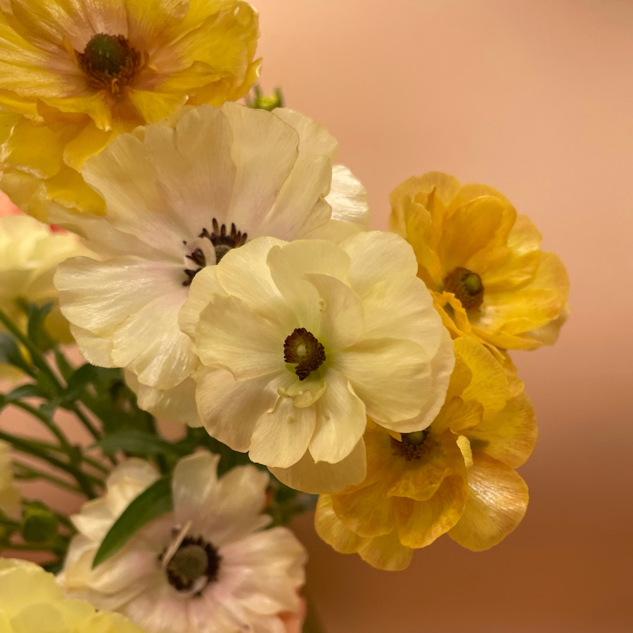 Warm Butterfly Ranunculus Bougquet