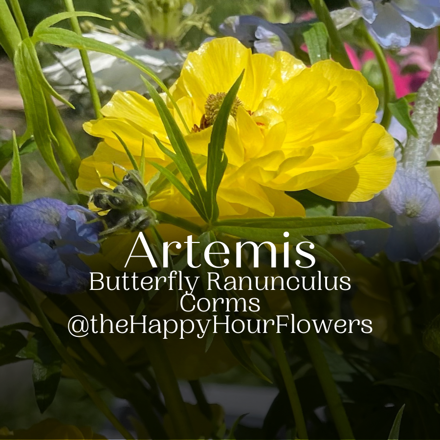 A beautiful arrangement of Butterfly Ranunculus flowers in yellow with blue flowers in the background, highlighting The Happy Hour Flowers' offering.