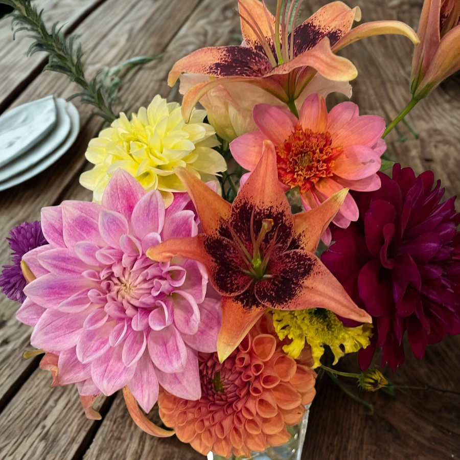An artistic display of mixed flowers including the La Belle Epoque Dahlia Tuber by The Happy Hour Flowers, emphasizing new variety cut flowers and perfect for planting.