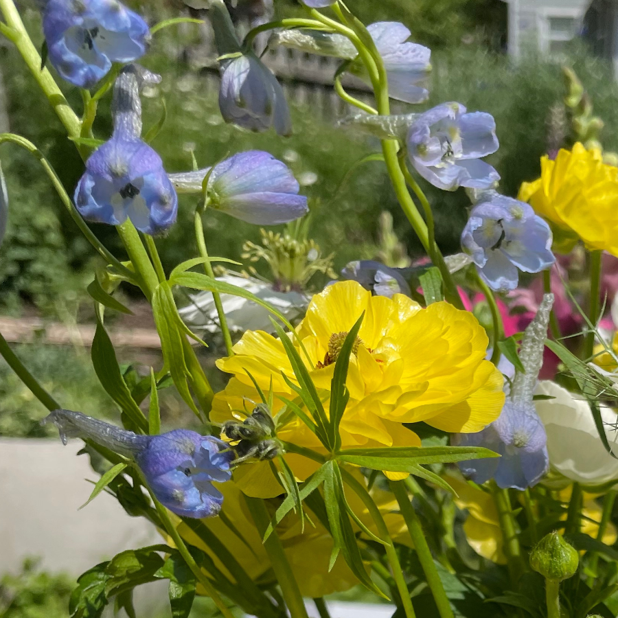 A vibrant bouquet of Butterfly Ranunculus and other flowers, emphasizing the colorful mix available at The Happy Hour Flowers.