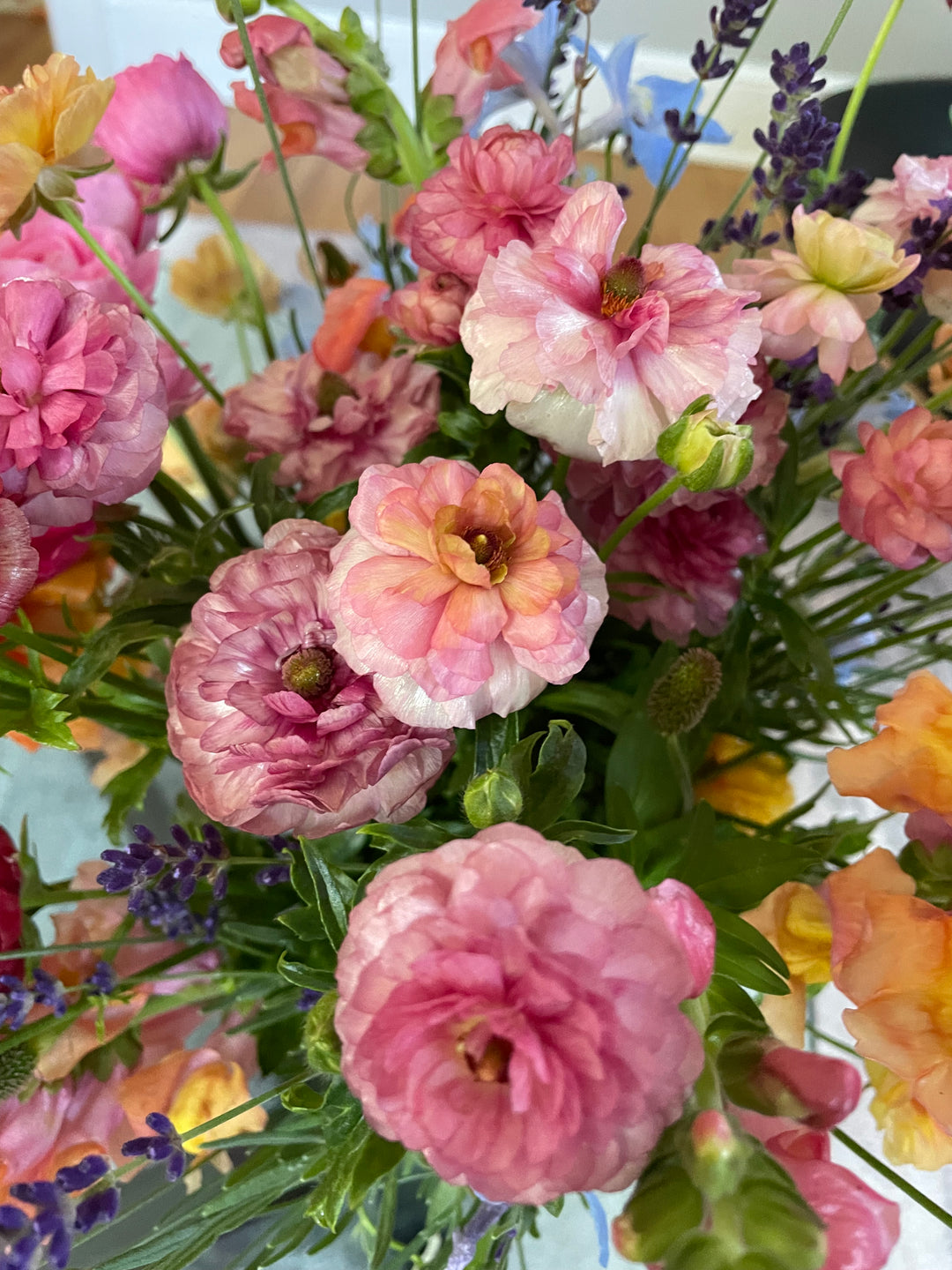 Butterfky Ranunculus Shop Butterfly Ranunculus – The Happy Hour Flowers