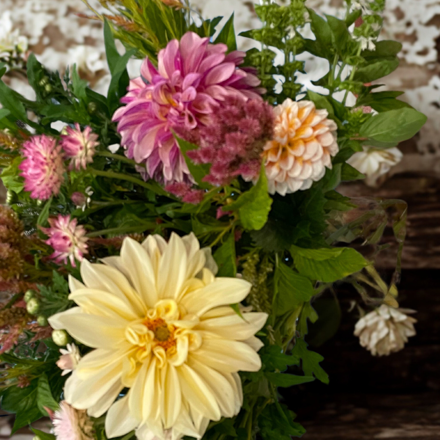 A cheerful bouquet featuring the La Belle Epoque Dahlia from The Happy Hour Flowers, perfect for planting and showcasing why dahlias are a favorite in new variety cut flower arrangements.