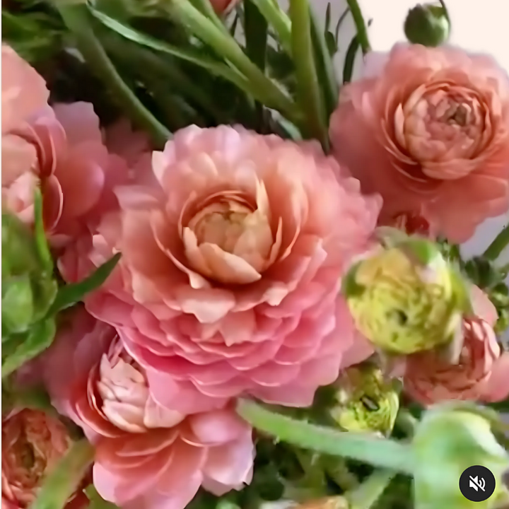 a bunch of pink flowers are in a vase