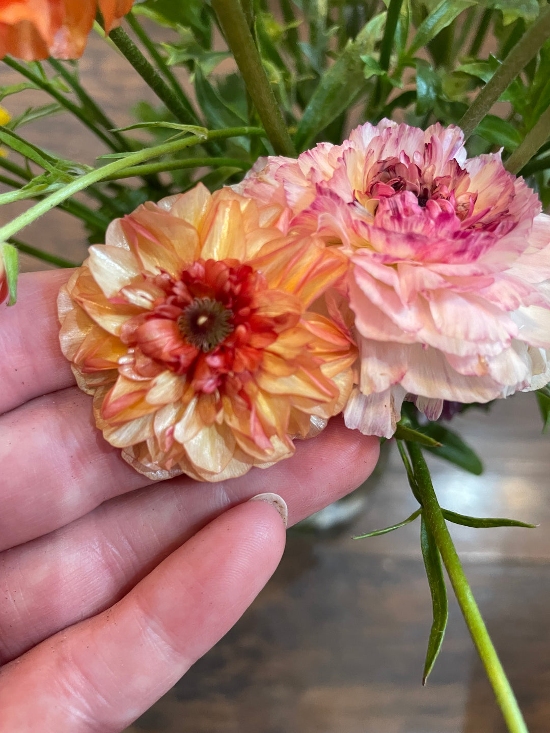 Orange Butterfly Ranunculus Phosphorus Bouquet