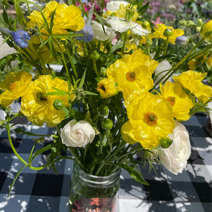 Dione Butterfly Ranunculus