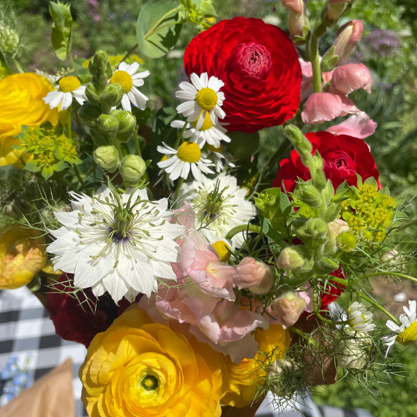 A colorful bouquet features Amandine ranunculus flowers from The Happy Hour Flowers, highlighting a blend of red ranunculus, daisies, and other blooms. Ideal for weddings or as an eye-catching centerpiece in a cutting garden, these specialty cut flowers are perfect for any floral occasion.