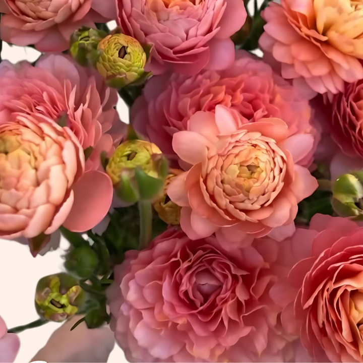 a bunch of pink flowers are in a vase