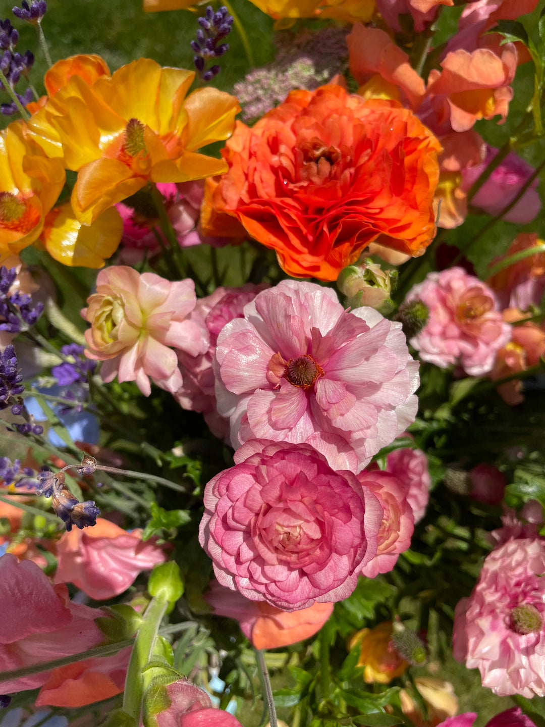 Romance Ranunculus Paradou bouquet 