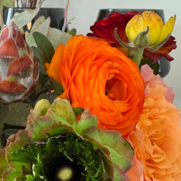 Elegance Ranunculus Corms; Giallo Striato- Pack of 10