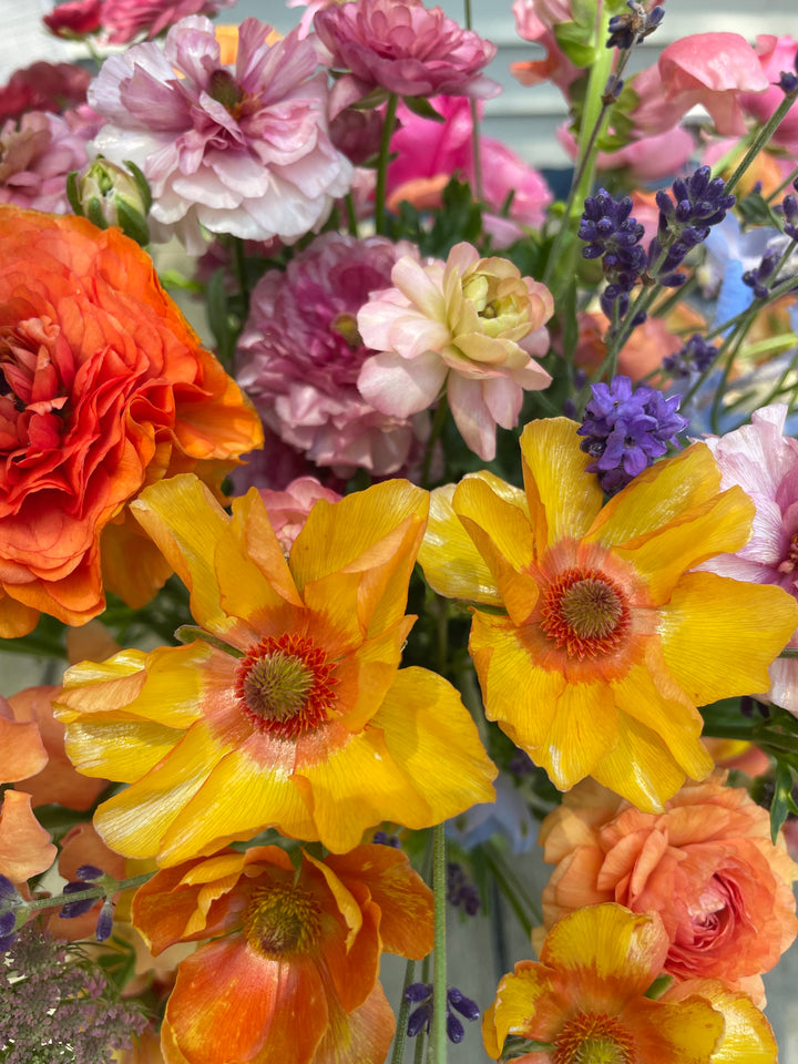 Orange Charis Butterfly Ranunculus in a bouquet