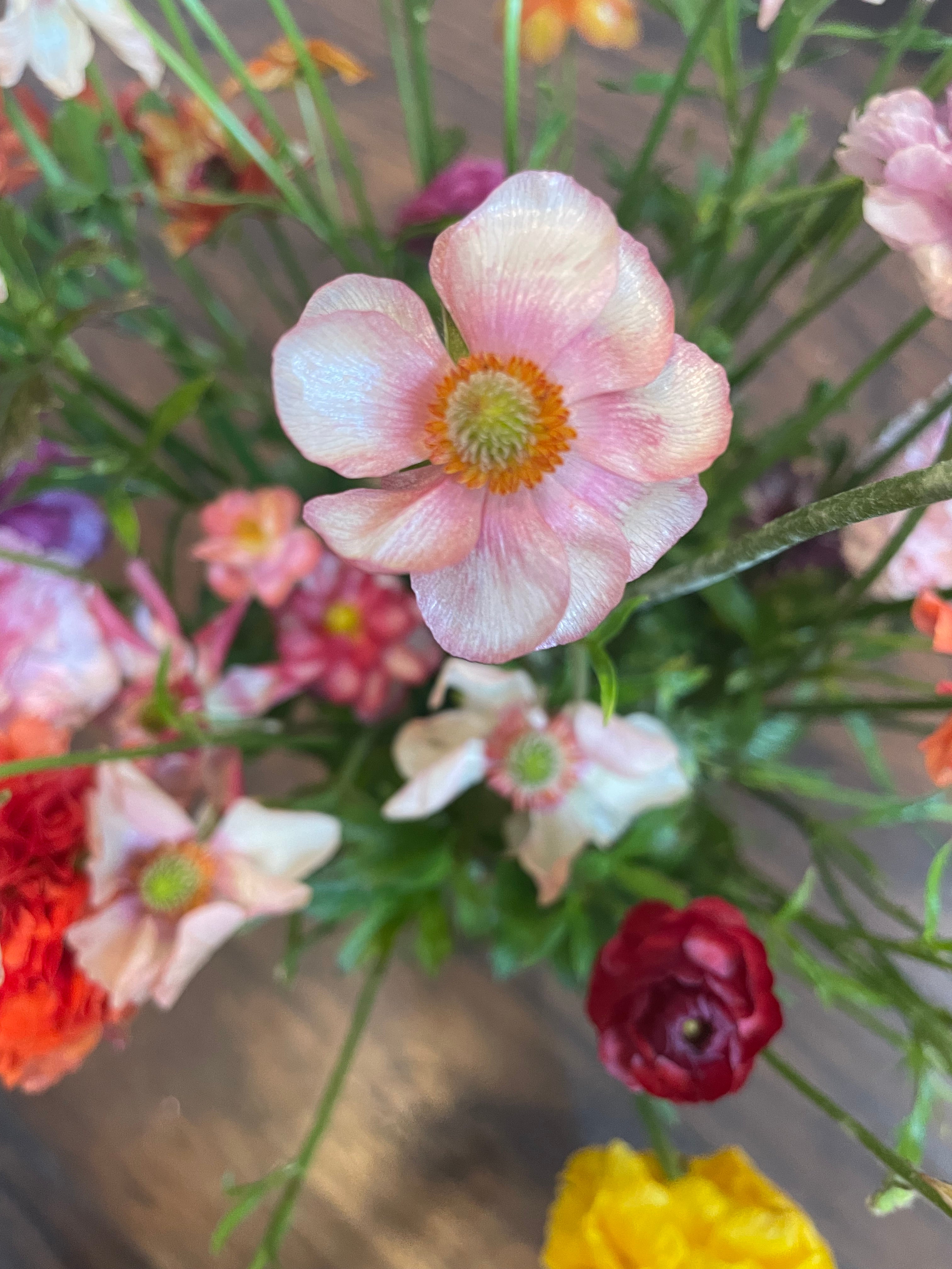 Butterfly Ranunculus Corms - Pack of 5 – The Happy Hour Flowers