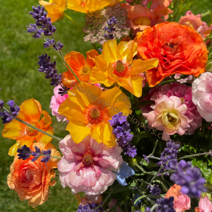 Bouquet of colorful flowers  Ranunculus including orange, pink, and purple on a green background Ariadne Butterfly Ranunculus and Anemone Corms for Sale for Planting