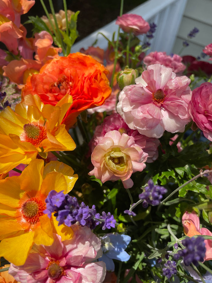 Orange Charis Butterfly Ranunculus in a bouquet