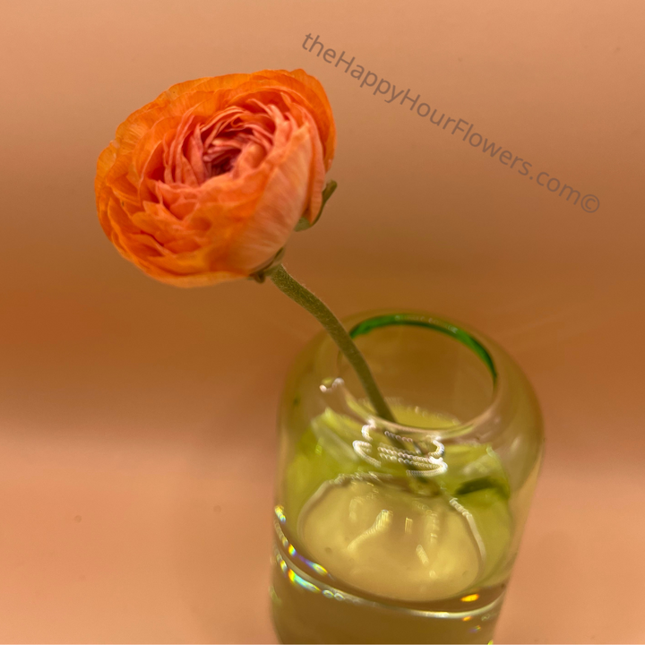 Amandine Ranunculus Corms Salmon offered by The Happy Hour Flowers, illustrating a charming orange ranunculus in a sleek glass vase, perfect for sweet floral accents.