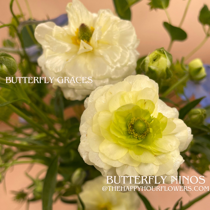Lovely arrangement featuring both Butterflies Graces and Ninos Graces Butterfly Ranunculus flowers, artistically displayed by The Happy Hour Flowers, ideal for celebrations.