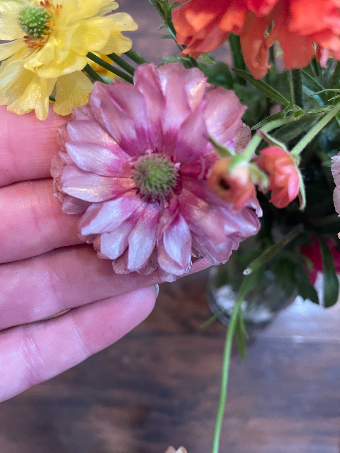 Jupiter new Pink Butterfly Ranunculus