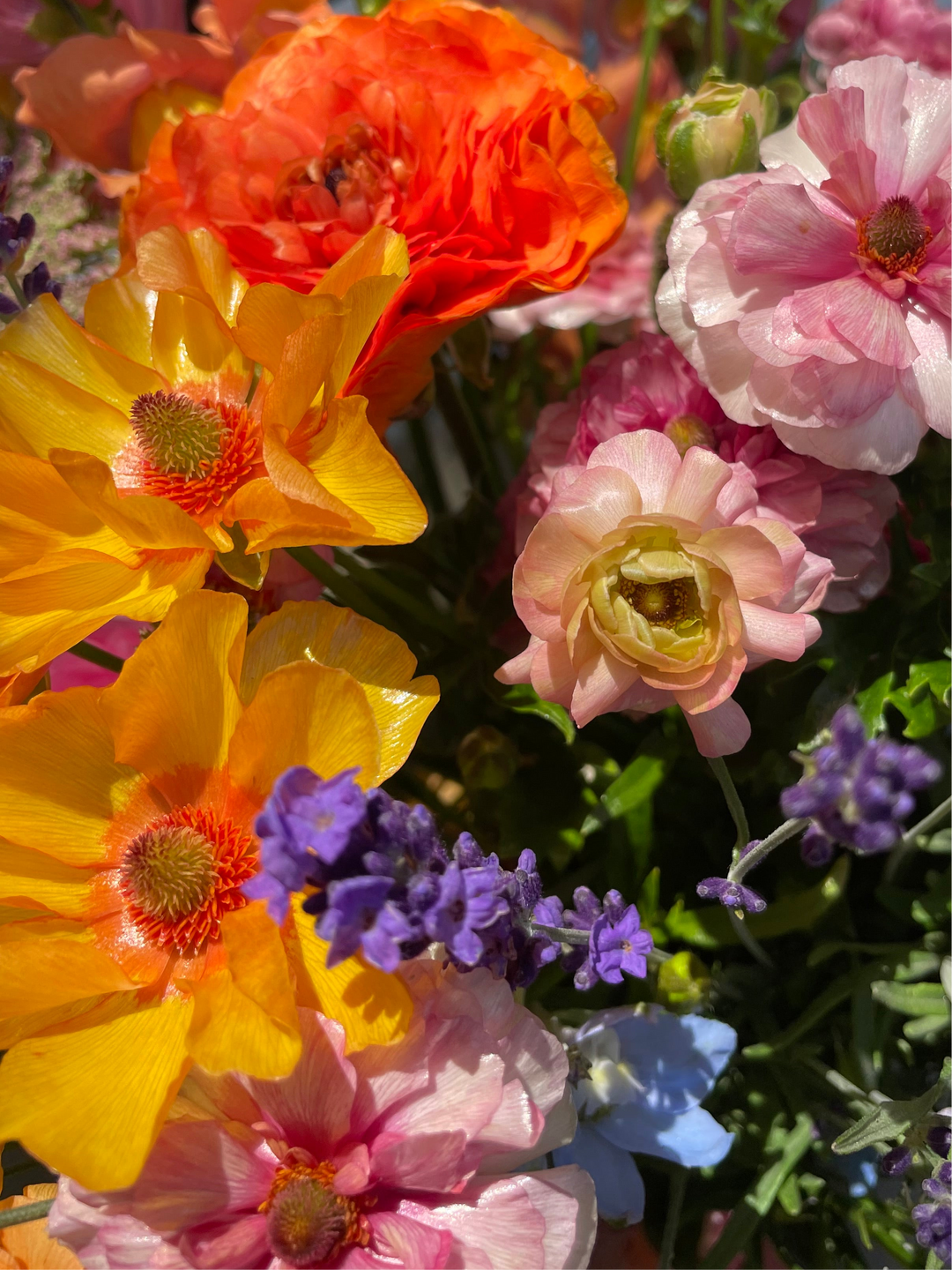 Orange Charis Butterfly Ranunculus in a bouquet