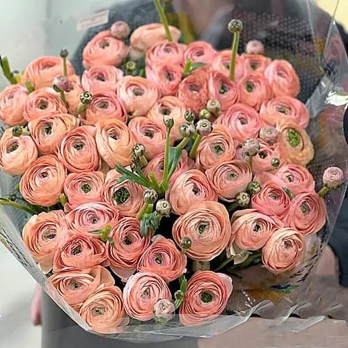 a person holding a bouquet of pink flowers