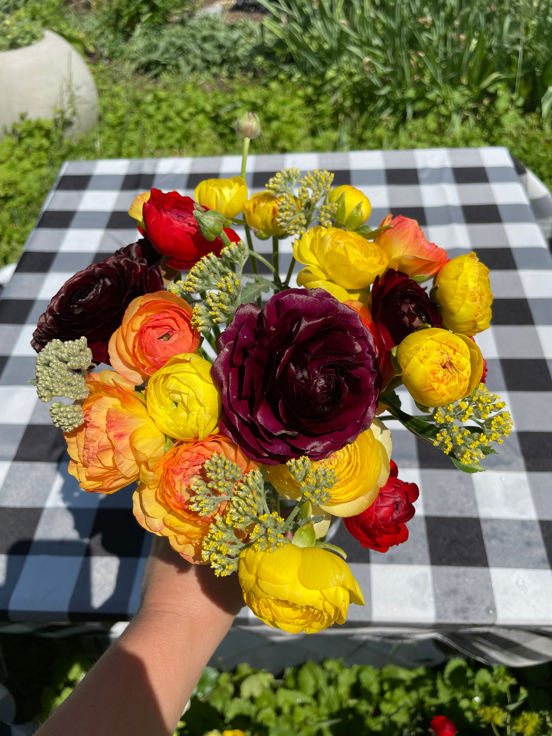 Romance Ranunculus Perigord