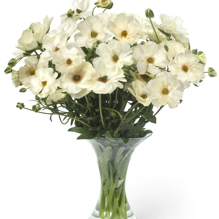 a vase filled with white flowers on top of a table