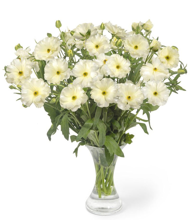 a vase filled with white flowers on top of a table