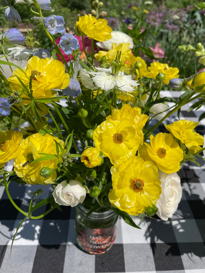 Phytalos Yellow Butterfly Ranunculus