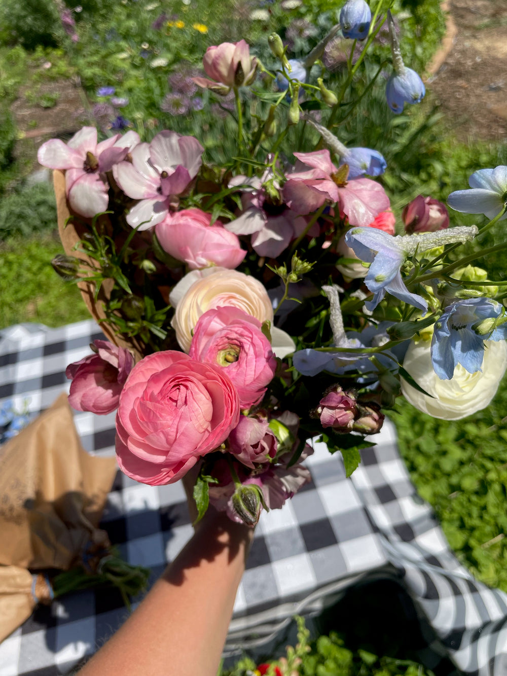 Ranunculus Half-Clone Marshmallow