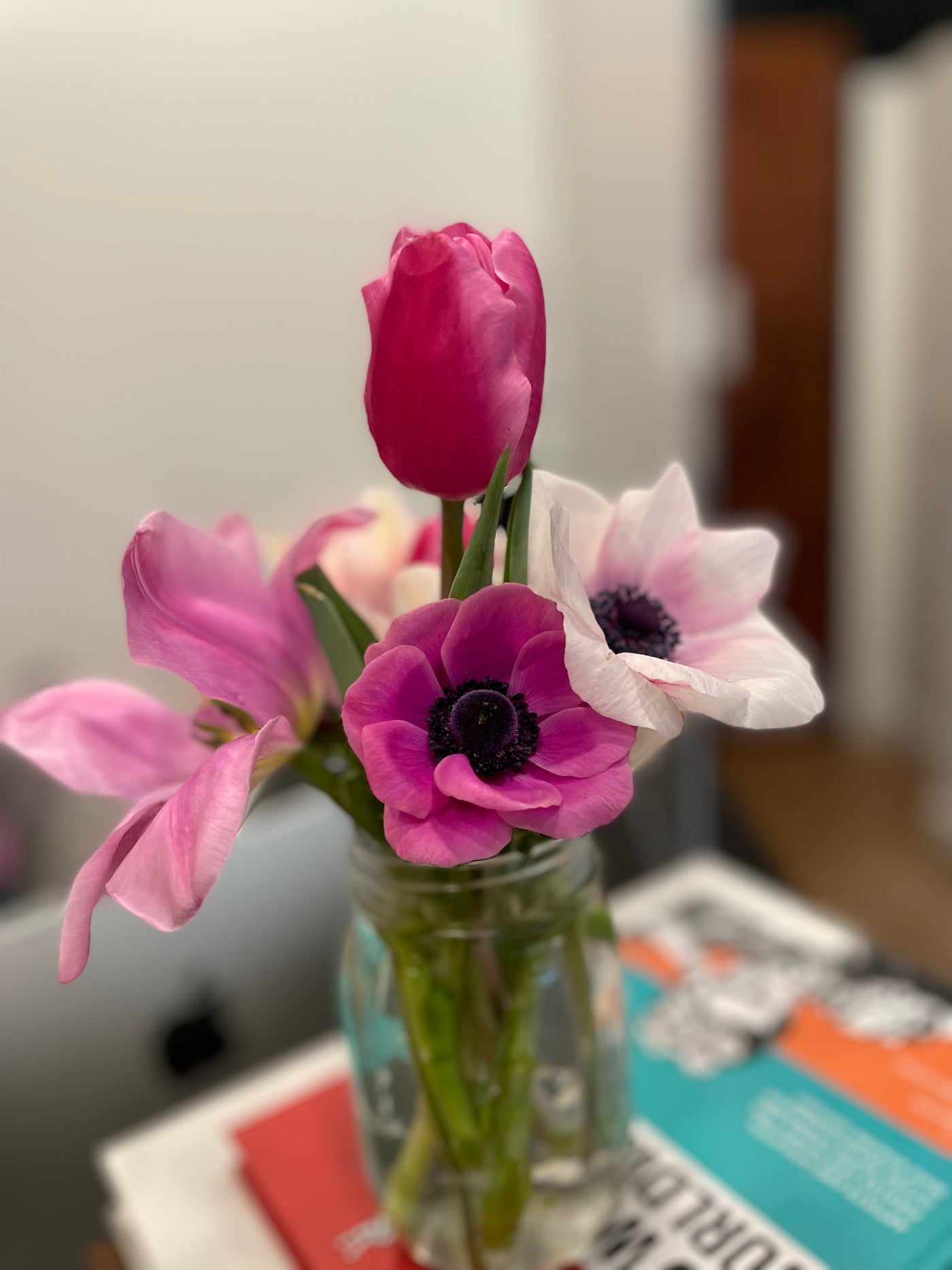 Anemone Marianne Orchid