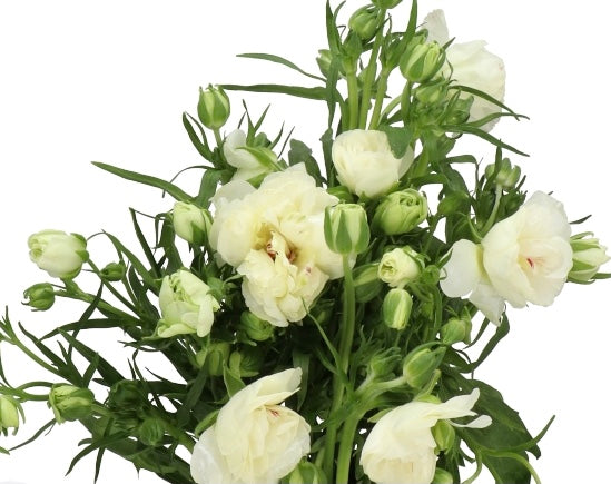 a vase filled with white flowers on top of a table