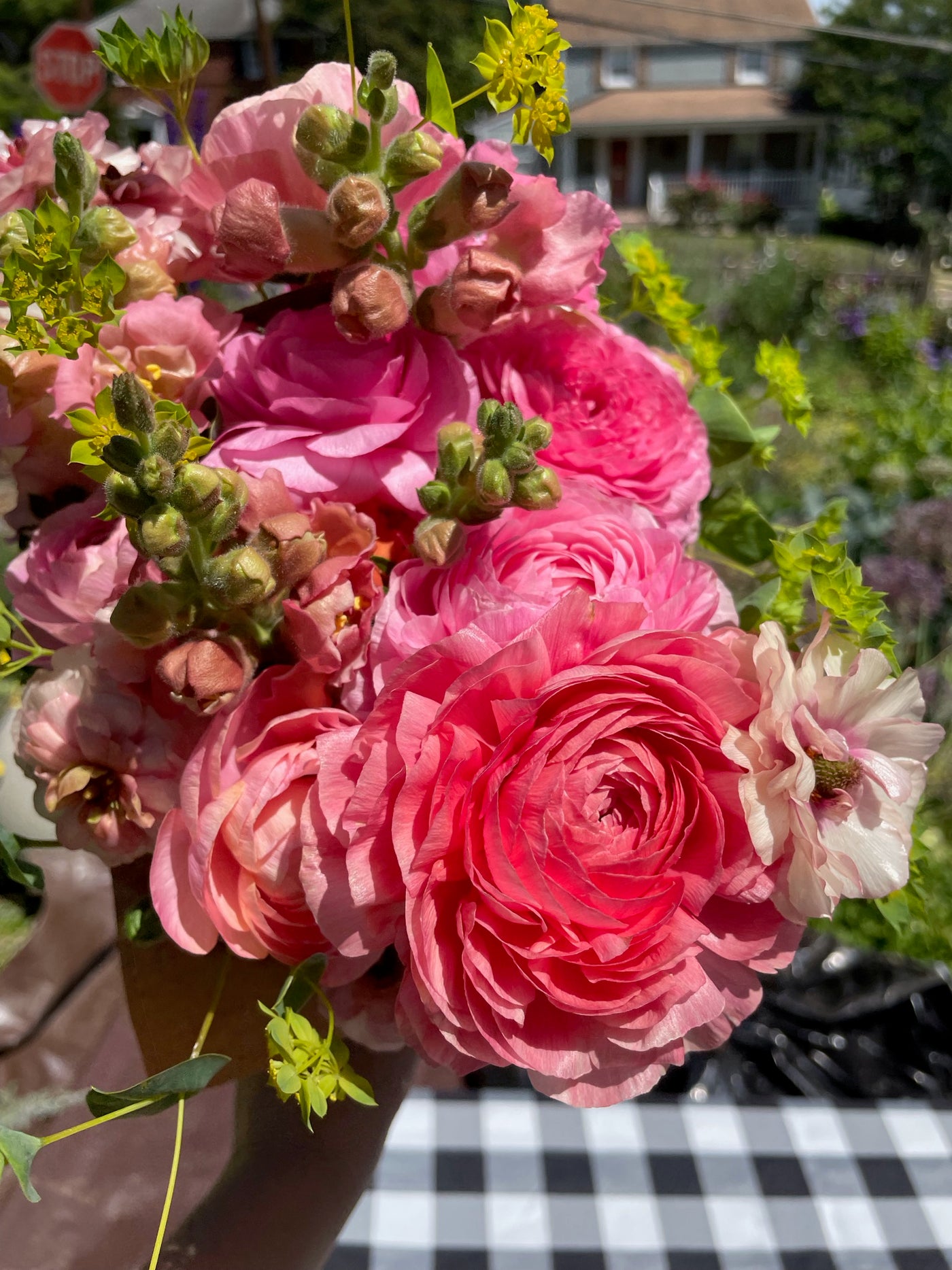 Ranunculus Romance Valliere