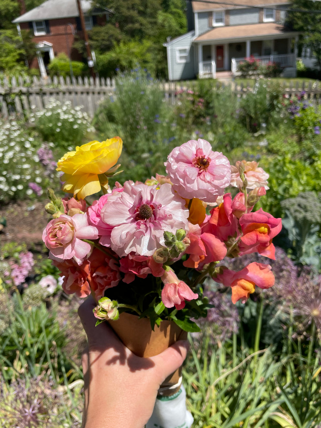 Butterfly Ranunculus