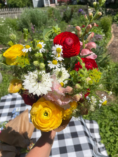 yellow gold ranunculus