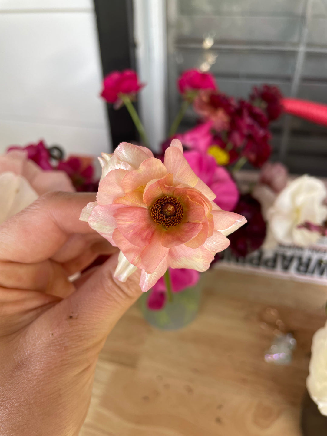 Single Ariadne Butterfly Ranunculus. Peachy Pink petals with an orangey center. Petals are reflective